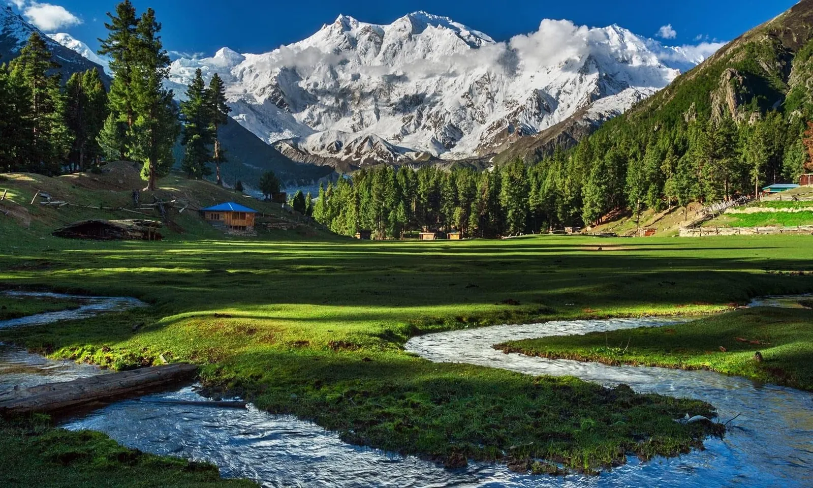 A stream through Fairy Meadows below Nanga Parbat