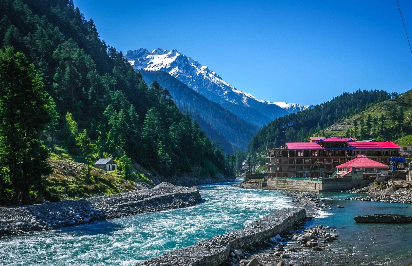 The Swat River below pine forests and snowy peaks